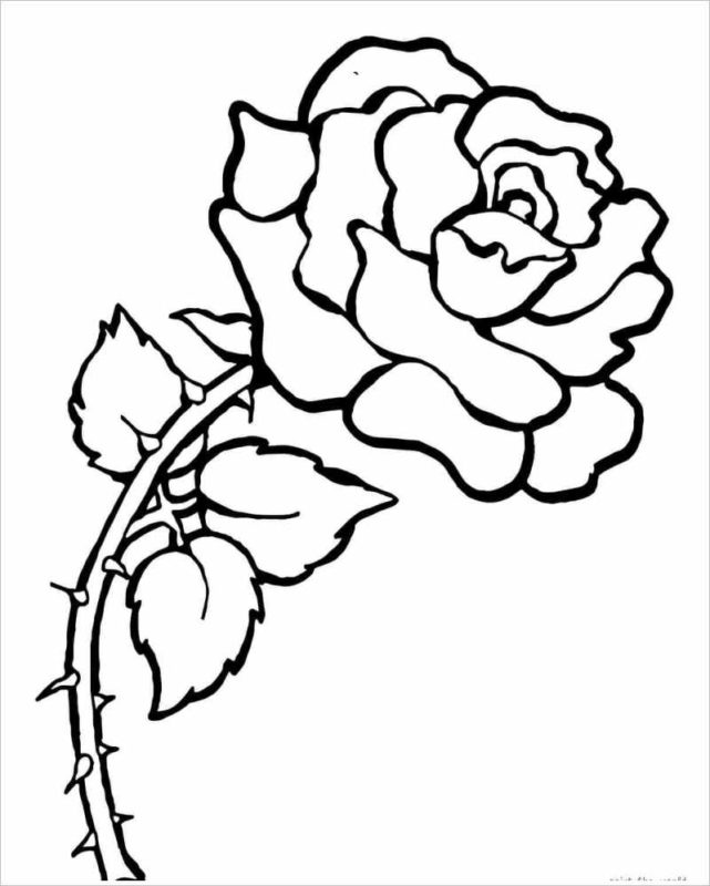 Hoa hồng có gai