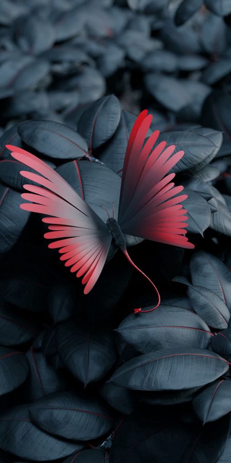 ảnh đẹp 3D mới hình con bướm dành cho điện thoại