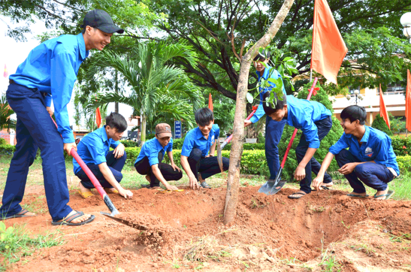 Hoạt động các học sinh trồng cây
