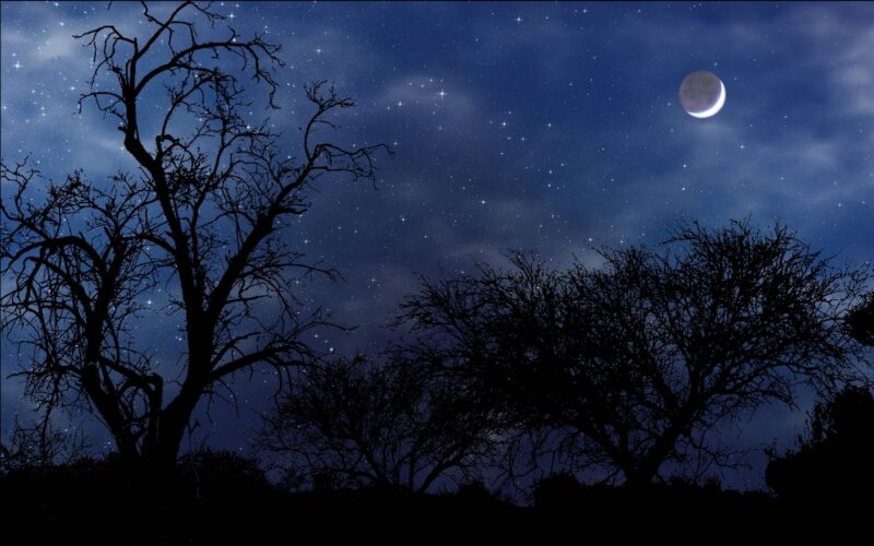 Cảnh đẹp buồn bã một mình cùng ánh trăng sáng