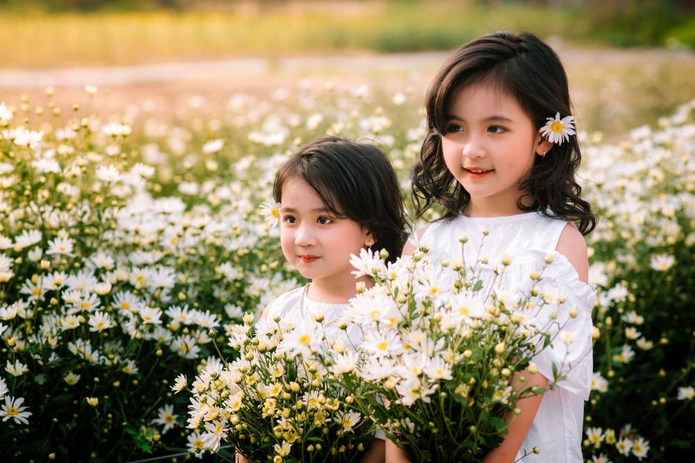Ảnh hai chị em bé hàn quốc chụp ảnh cùng nhau trong vườn hoa cúc