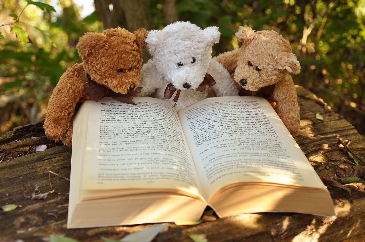 Ba chú gấu bông cùng nhau đọc sách