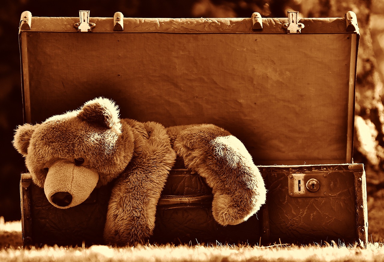Ảnh gấu bông teddy cô đơn nằm trong vali