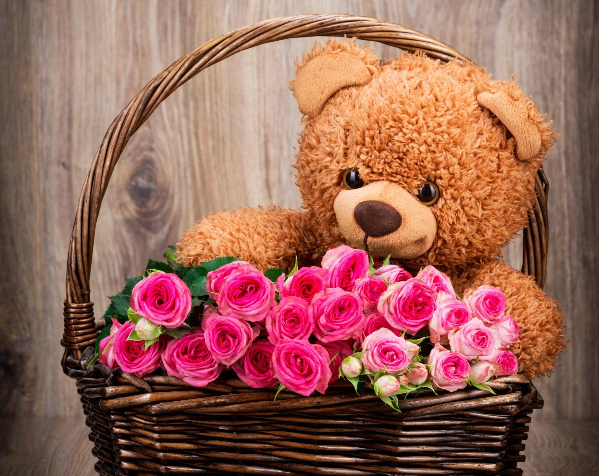 Hình gấu bông ngồi trong giỏ hoa