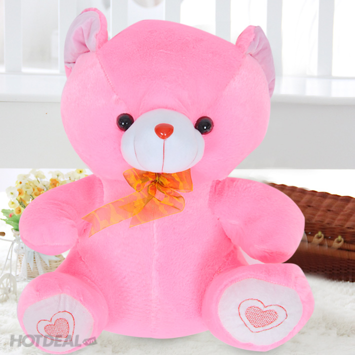 Ảnh gấu bông teddy màu hồng cute