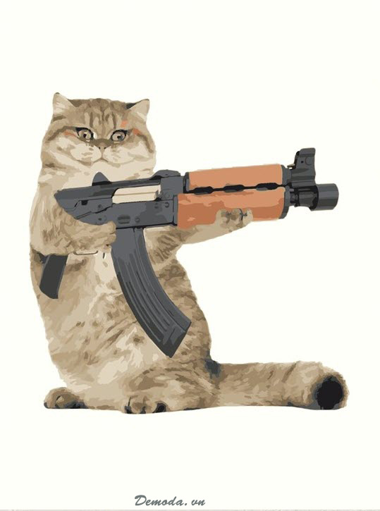 Ảnh mèo ff đứng cầm súng