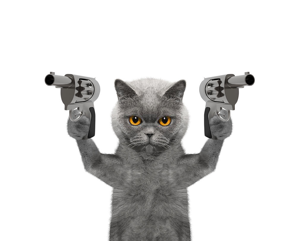 Hình ảnh mèo ff cầm súng siêu bá đạo