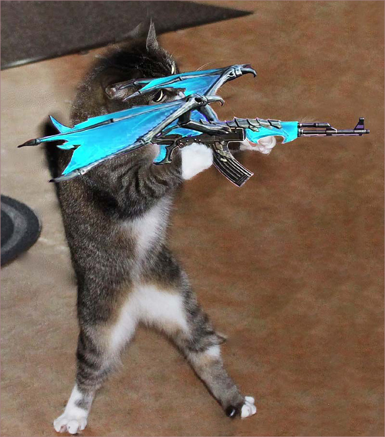 Ảnh mèo ff giơ súng xanh