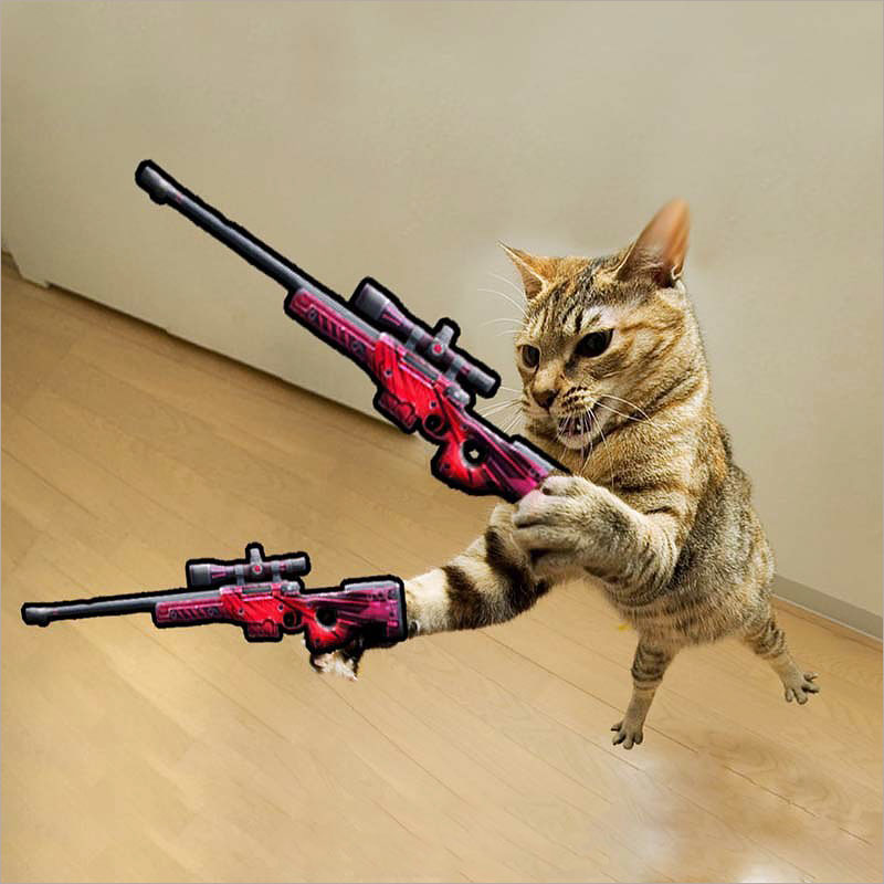 Ảnh mèo ff cầm súng bá đạo