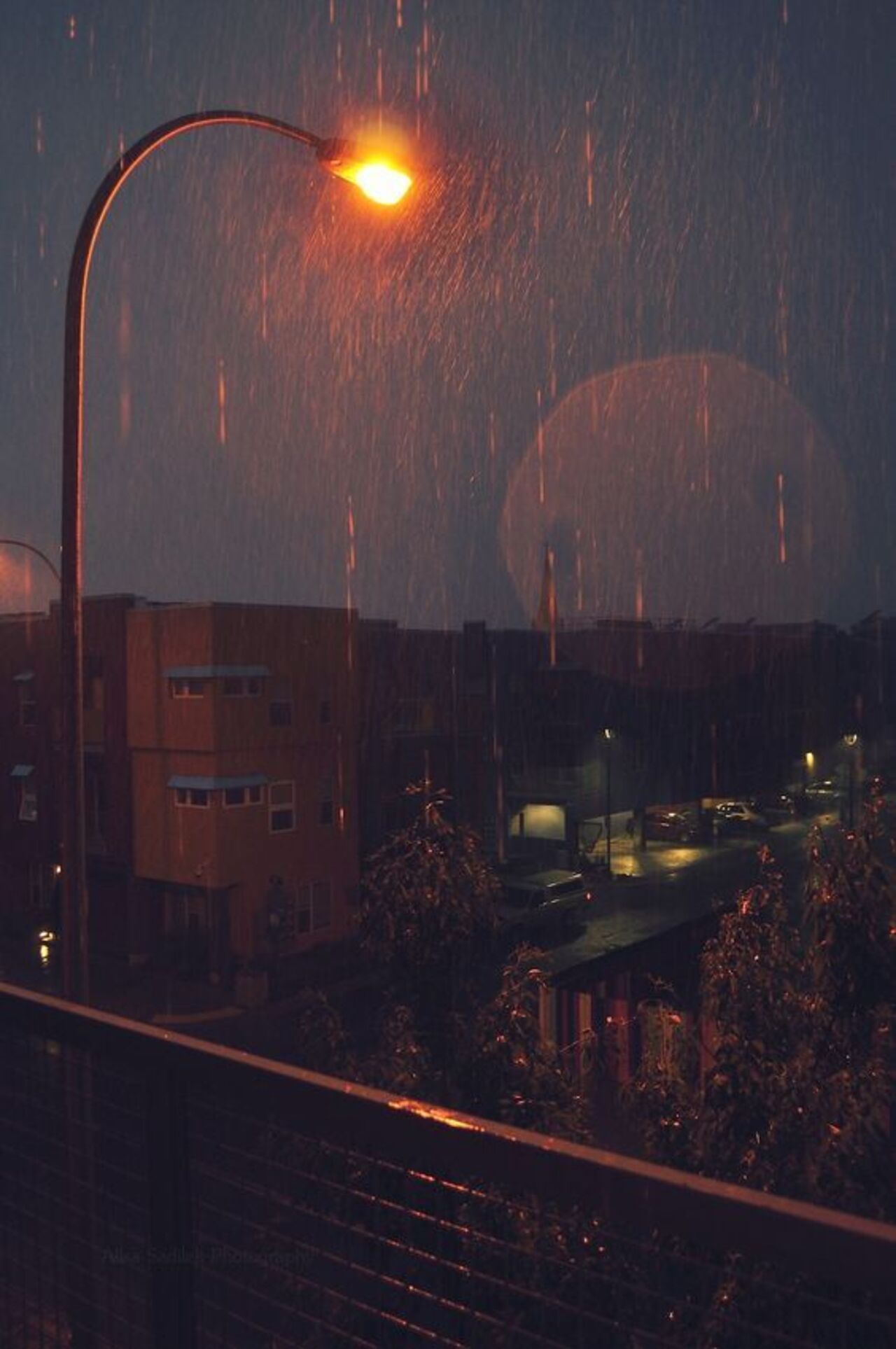 Hình ảnh cảnh mưa đêm buồn bên ngọn đèn đường