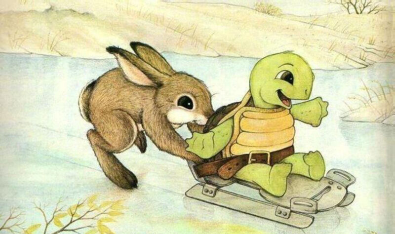ảnh rùa và thỏ đang vui đùa với nhau