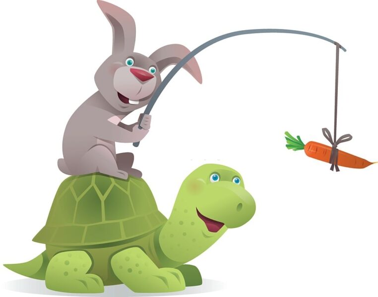 ảnh rùa và thỏ đang câu củ cà rốt