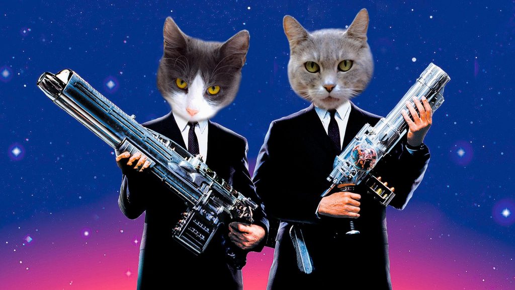 Hình ảnh cặp mèo ff cầm súng