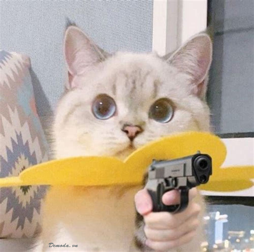 Ảnh mèo ff cầm súng
