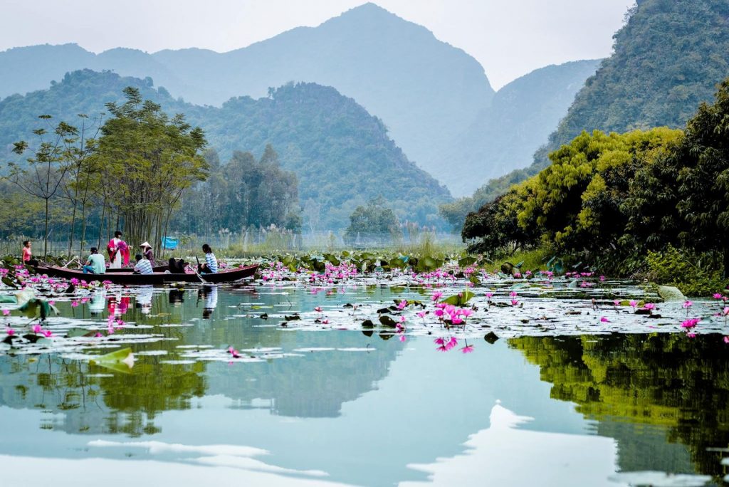 Quê hương Việt Nam với dòng nước ngập tràn hoa sem