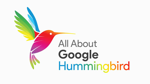 Google Hummingbird là gì