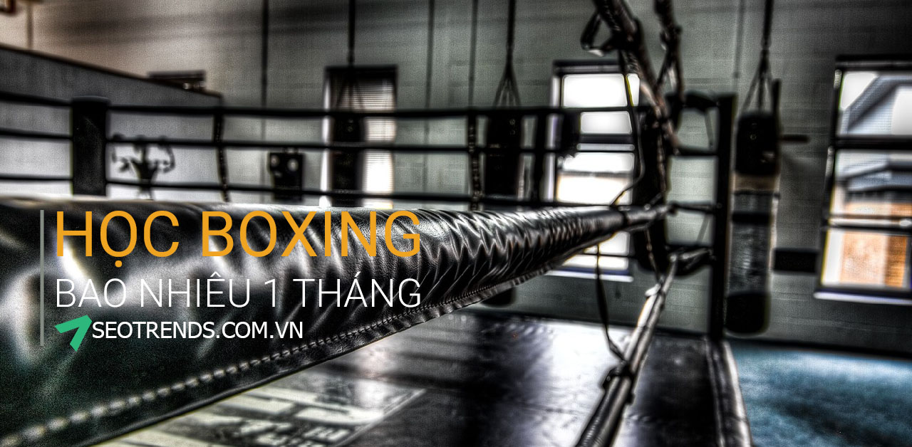 Học boxing bao nhiêu 1 tháng? TOP Phòng tập boxing tốt nhất TPHCM