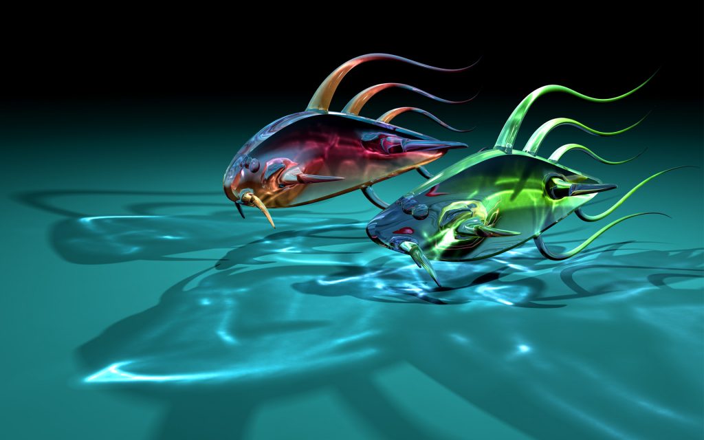 Ảnh đẹp 3D mới nhất cá bơi trong nước