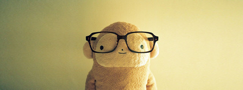 Ảnh bìa hình chú gấu bông đang đeo kính trông rất hài hước và đáng yêu
