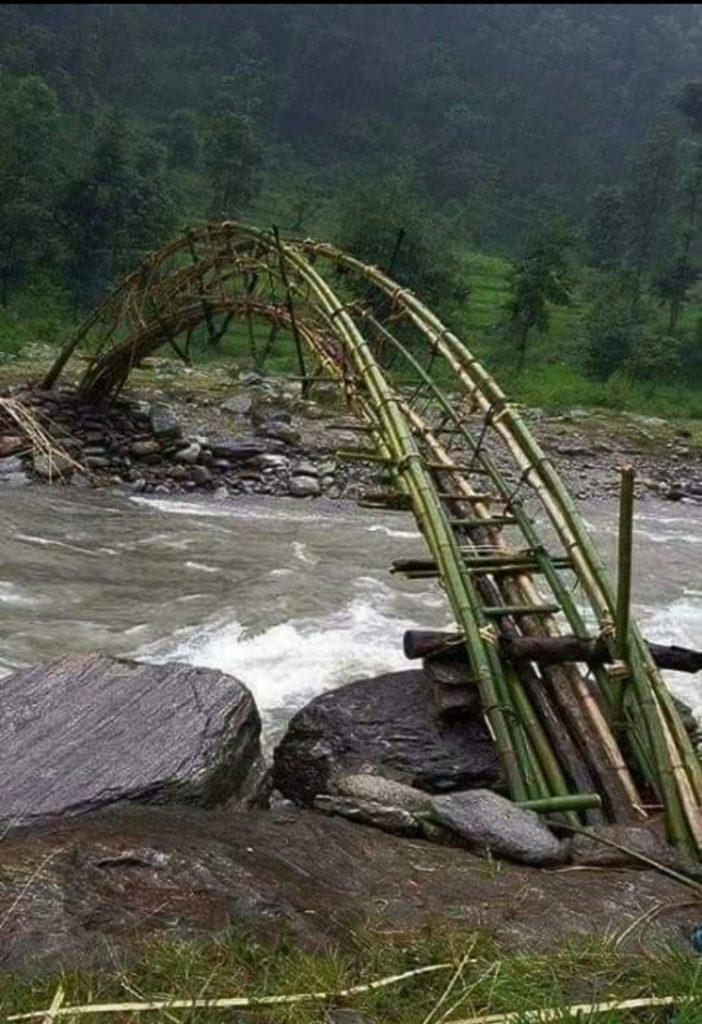 Cây cầu được làm bằng tre bắc qua con sông ở giữa rừng