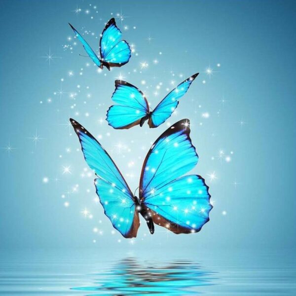 Hình nền con bướm bay xanh ngọc dưới bầu trời đẹp tuyệt