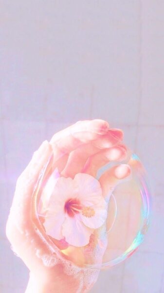 Hoa anh đào đẹp mộng mơ trong bong bóng