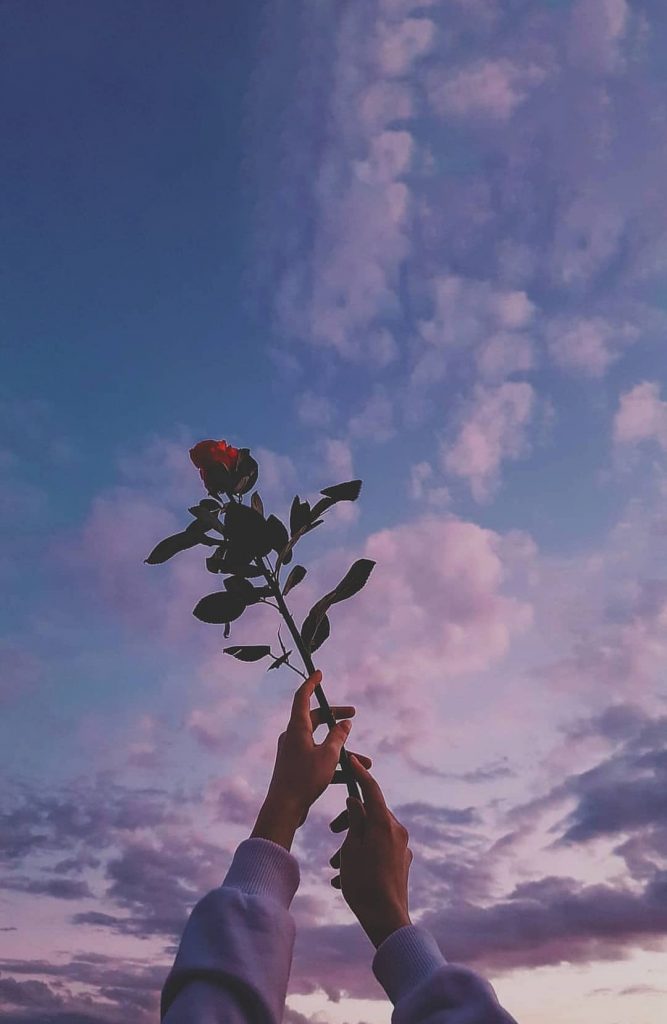 Đôi bàn tay buồn đẹp thon thả cầm bông hoa hồng đằng sau là bầu trời tuyệt đẹp
