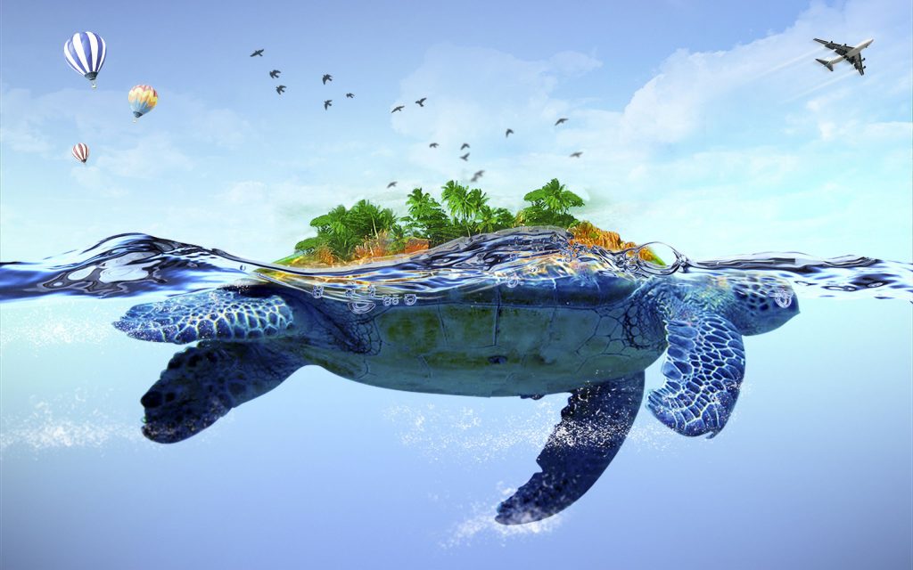 Rùa dưới biển độc đáo, sinh động, đẹp nhất