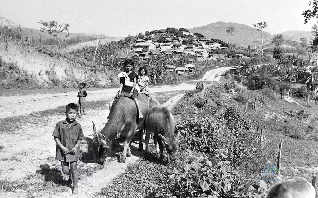 Ảnh làng quê Việt Nam màu đen trắng