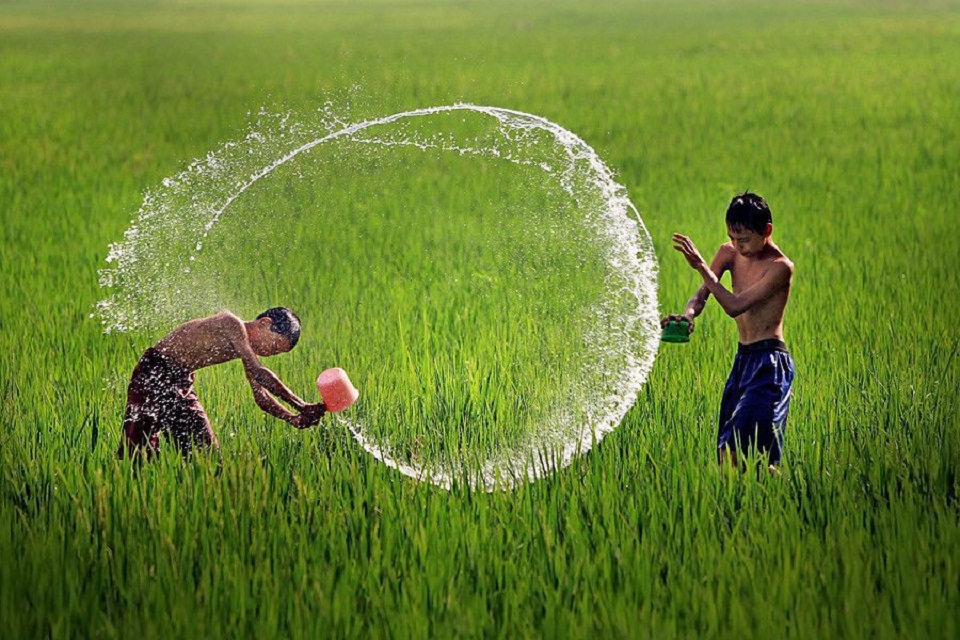 Ảnh làng quê Việt Nam với 2 đứa trẻ đùa nghịch giữa cách đồng lúa