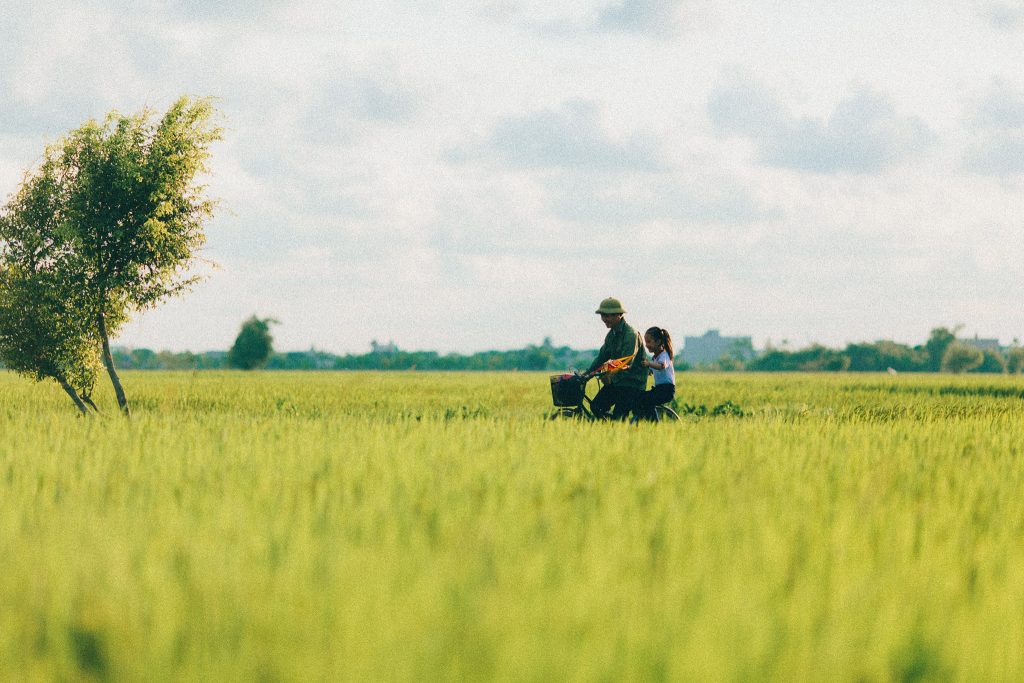 Ảnh làng quê Việt Nam với cánh đồng lúa rộng mênh mông