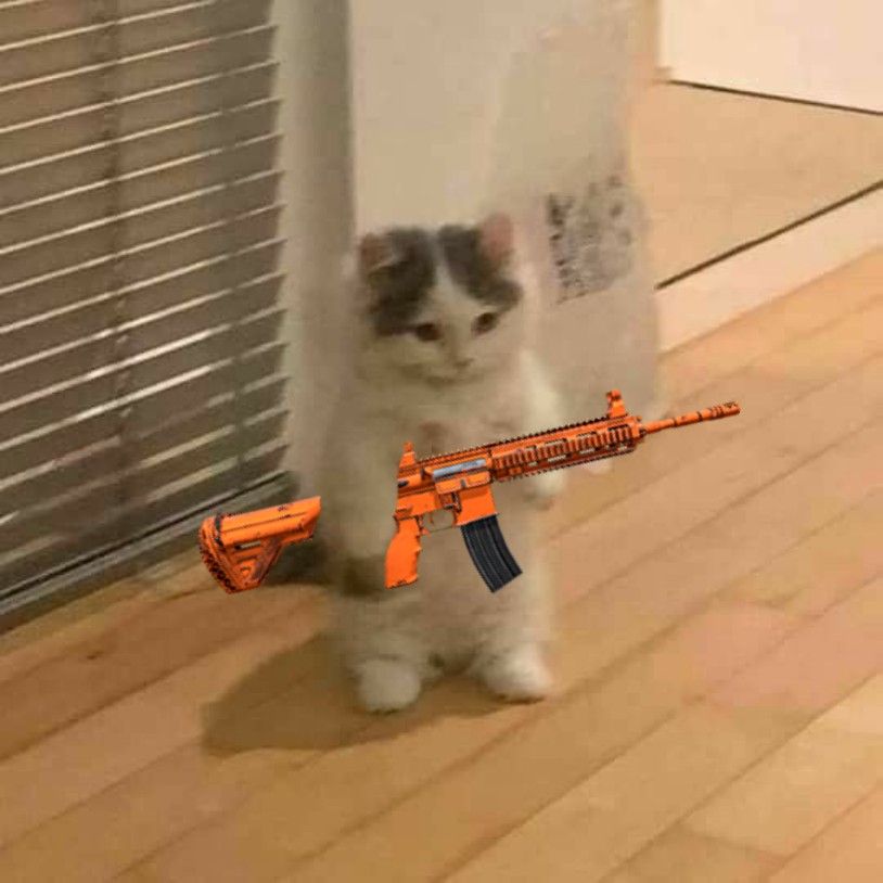 Ảnh mèo ff cầm súng cam cute