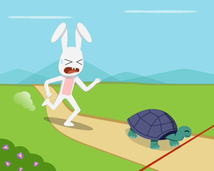 ảnh rùa và thỏ - thỏ đang đạp xe