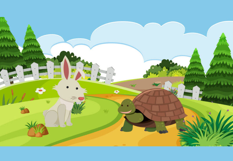 Ảnh rùa và thỏ đang chạy đua