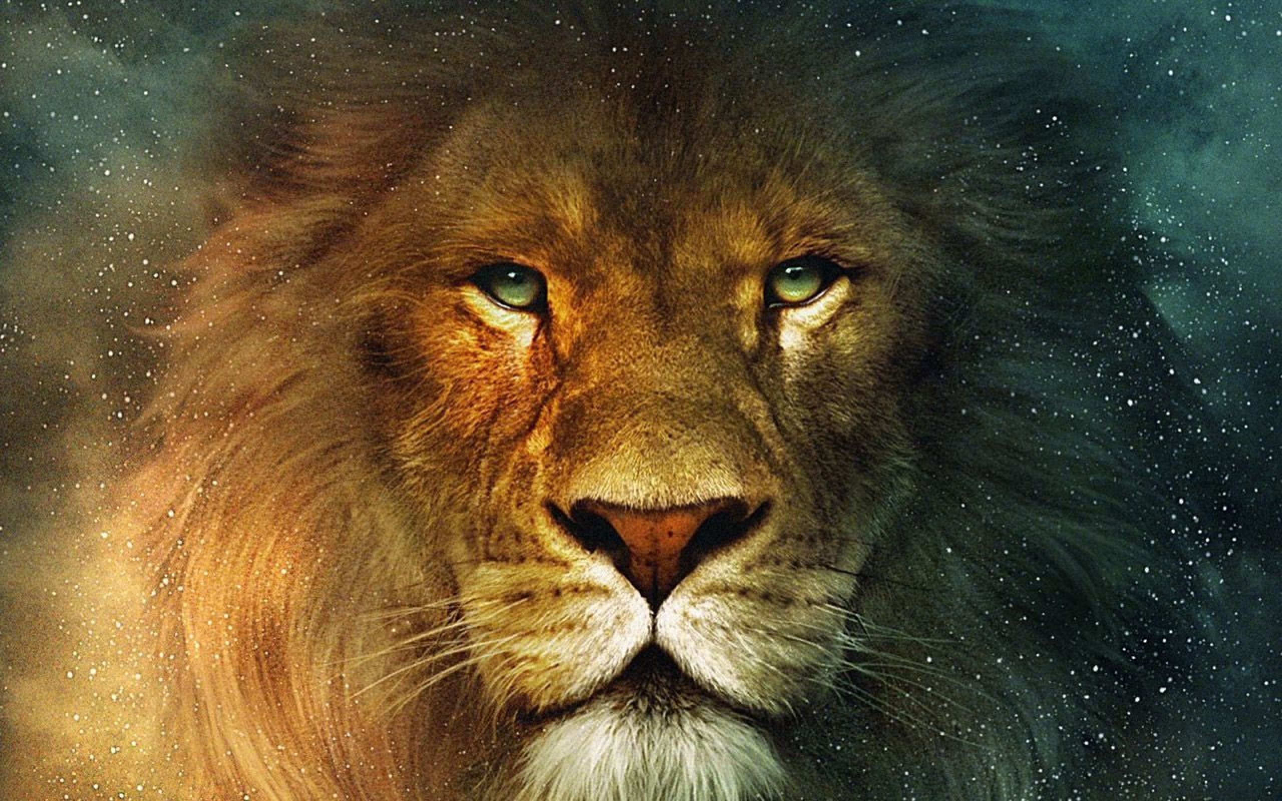 [Top 30+] Ảnh sư tử đẹp, 3D sắc nét, mạnh mẽ và oai phong nhất